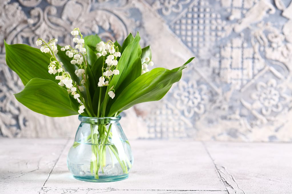 Flowers Lilies of the Valley