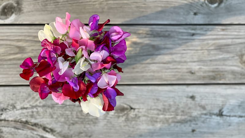 Top view of a bouquet of colorful sweet peas in a vase on a wooden table